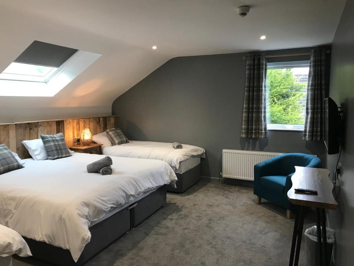 Rostrevor Mountain Lodge - Glamping Pods - Revive Sauna & Hot Tubs Dış mekan fotoğraf